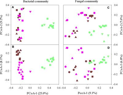 Predominant Microbial Colonizers in the Root Endosphere and Rhizosphere of Turfgrass Systems: Pseudomonas veronii, Janthinobacterium lividum, and Pseudogymnoascus spp.